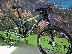PoulaTo: 2015 CANNONDALE Trigger Carbon Team